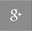 Google +